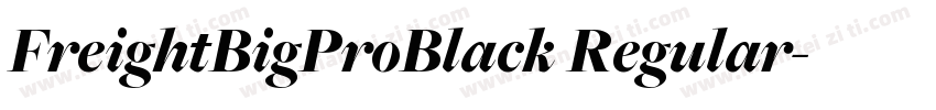 FreightBigProBlack Regular字体转换